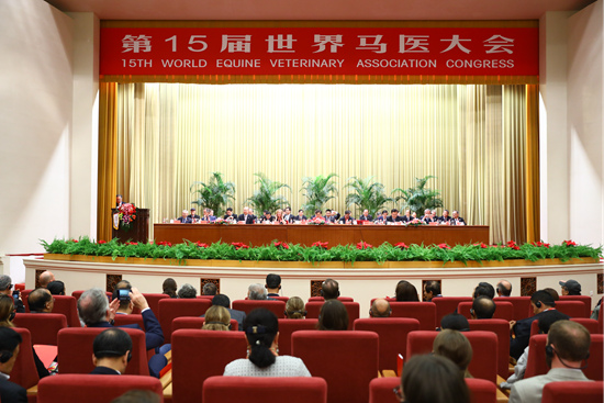 加强马医国际合作交流 第15届世界马医大会要在北京举办